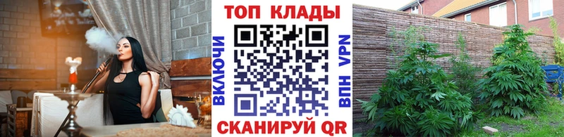 Где можно купить наркотики Новоалтайск КОКАИН Гашиш Экстази Каннабис А ПВП