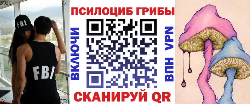 Псилоцибиновые грибы MAGIC MUSHROOMS  Новоалтайск 