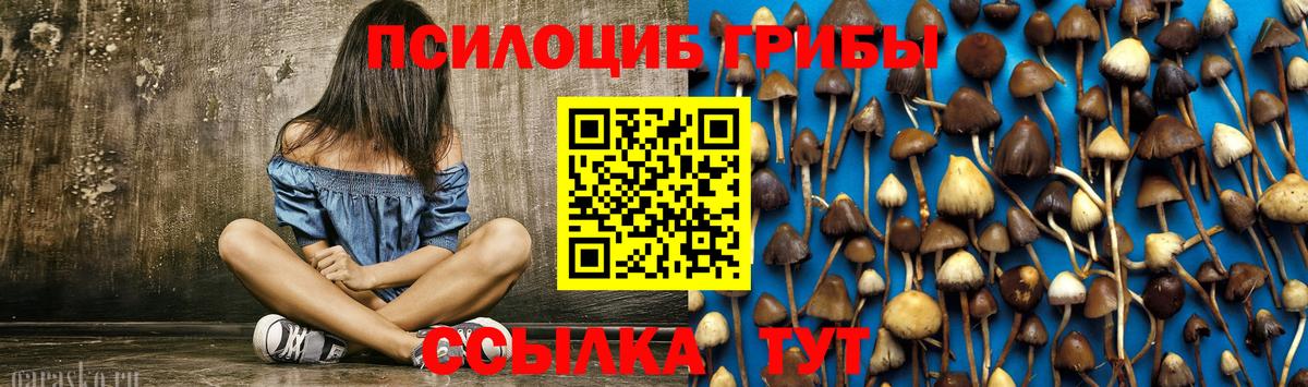 Галлюциногенные грибы прущие грибы Новоалтайск