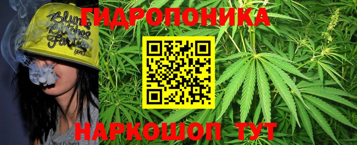 Шишки марихуана ГИДРОПОН Новоалтайск